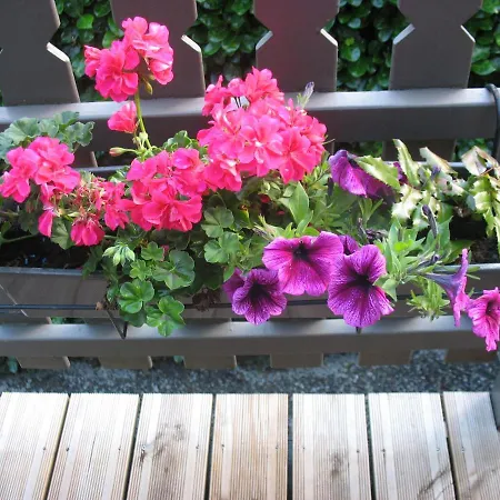 Kleine Familiechalet Edelweiss 4 A 5 Pers Durbuy