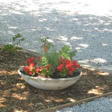 Kleine Familiechalet Edelweiss 4 A 5 Pers Alpehytte