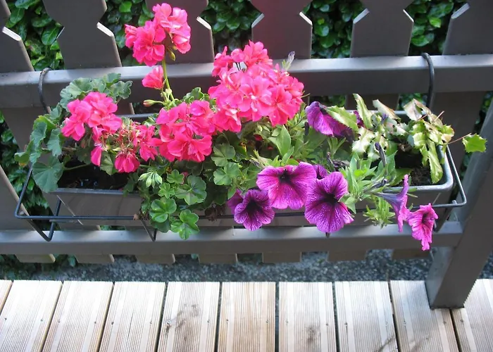 Kleine Familiechalet Edelweiss 4 A 5 Pers Durbuy